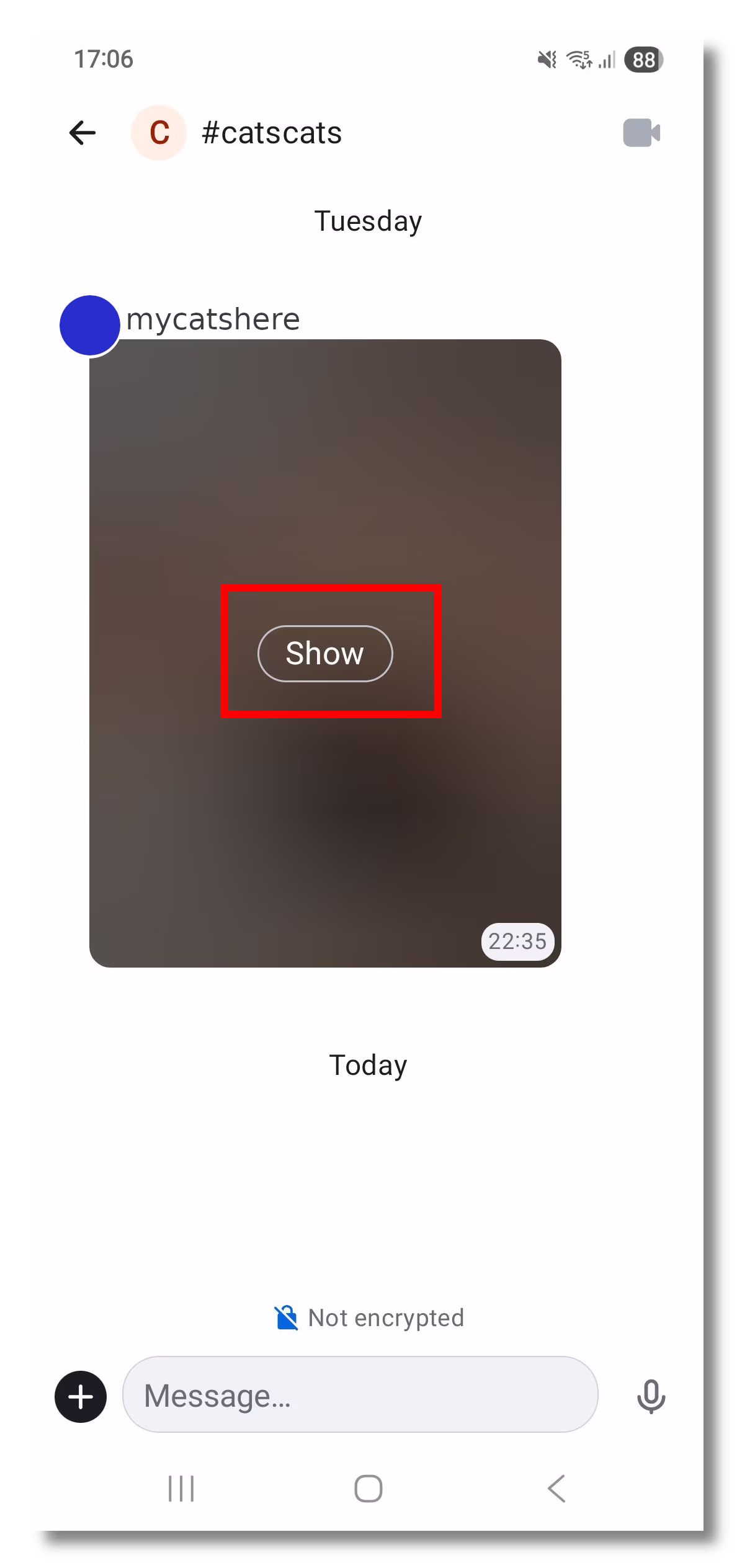 Element X's timeline, with a hidden image which has a Show button
    that is highlighted.